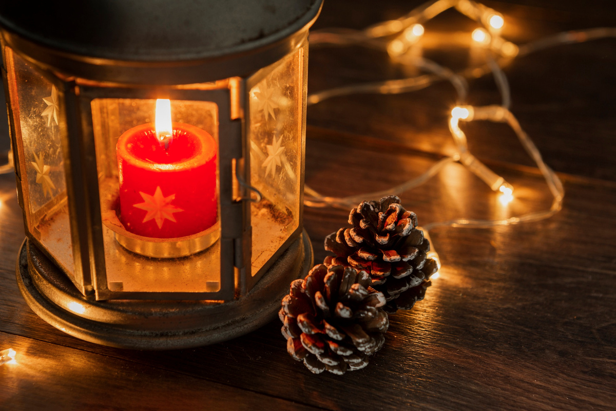 Фото: freepik.com/freepik  📷
