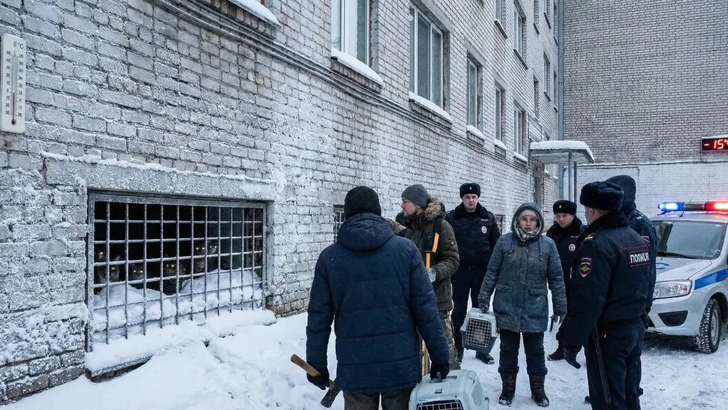    Коллаж "Царьграда"