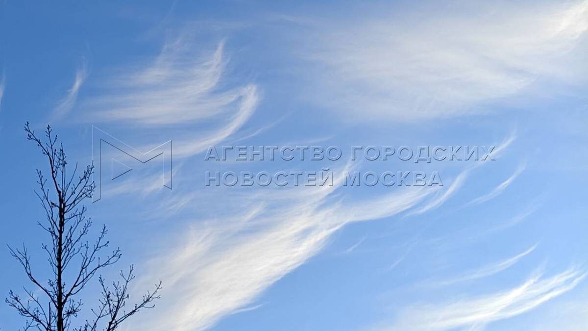    Фото: АГН Москва