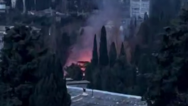    © Кадр видео из соцсетей