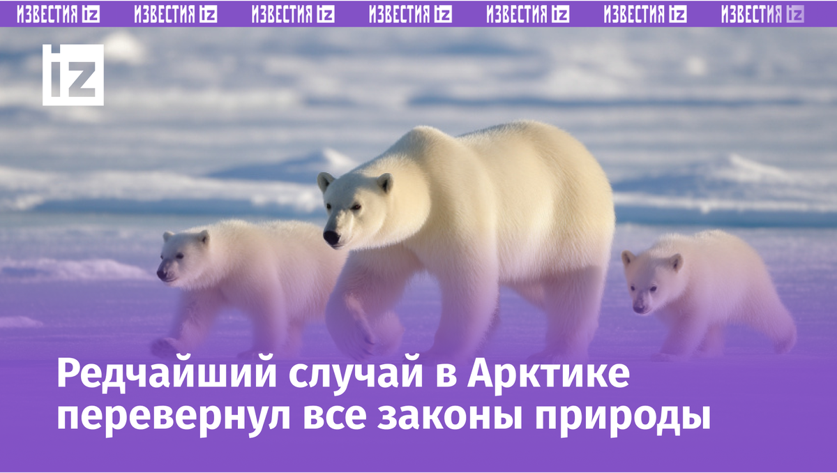 Фото: 5-tv.ru