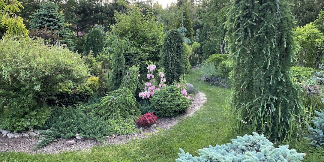 Почему огород — это не для всех: когда трудозатраты превышают удовольствие