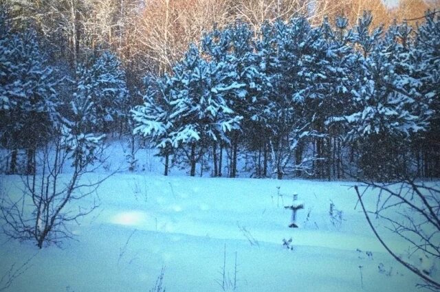    Сколько в Пензенской области особо охраняемых природных территорий?