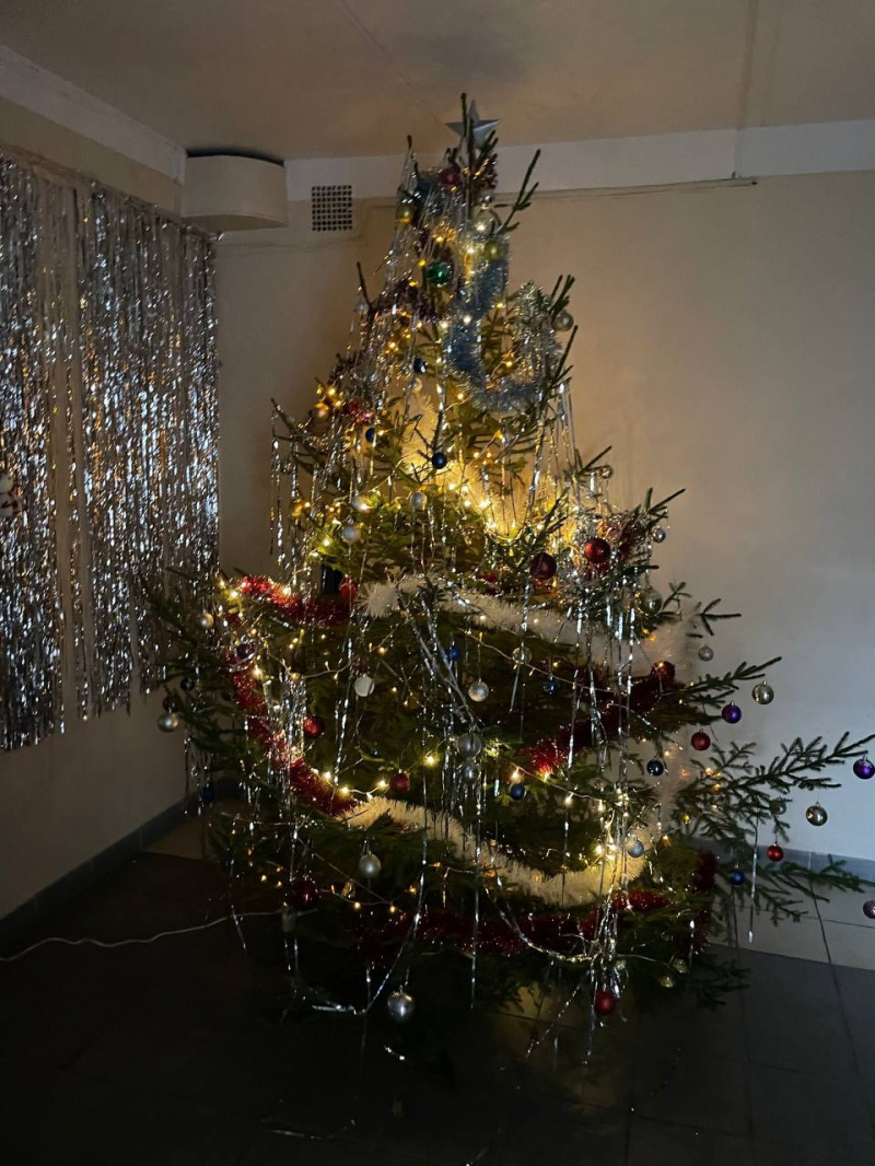    Живую ель на Новый год нарядила Авиалесоохрана КарелииАвиалесоохрана Карелии / VK