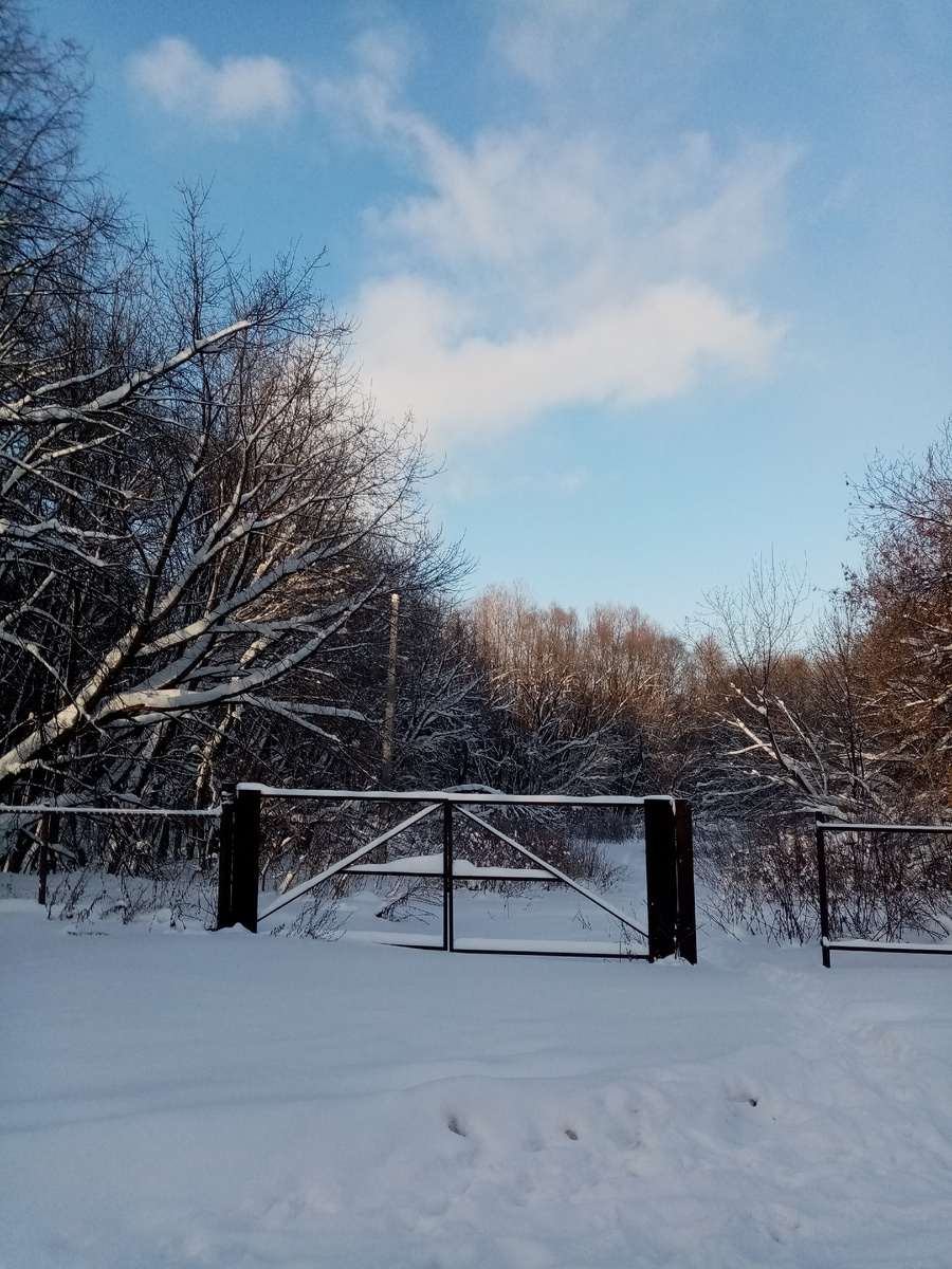 Ворота в зиму.