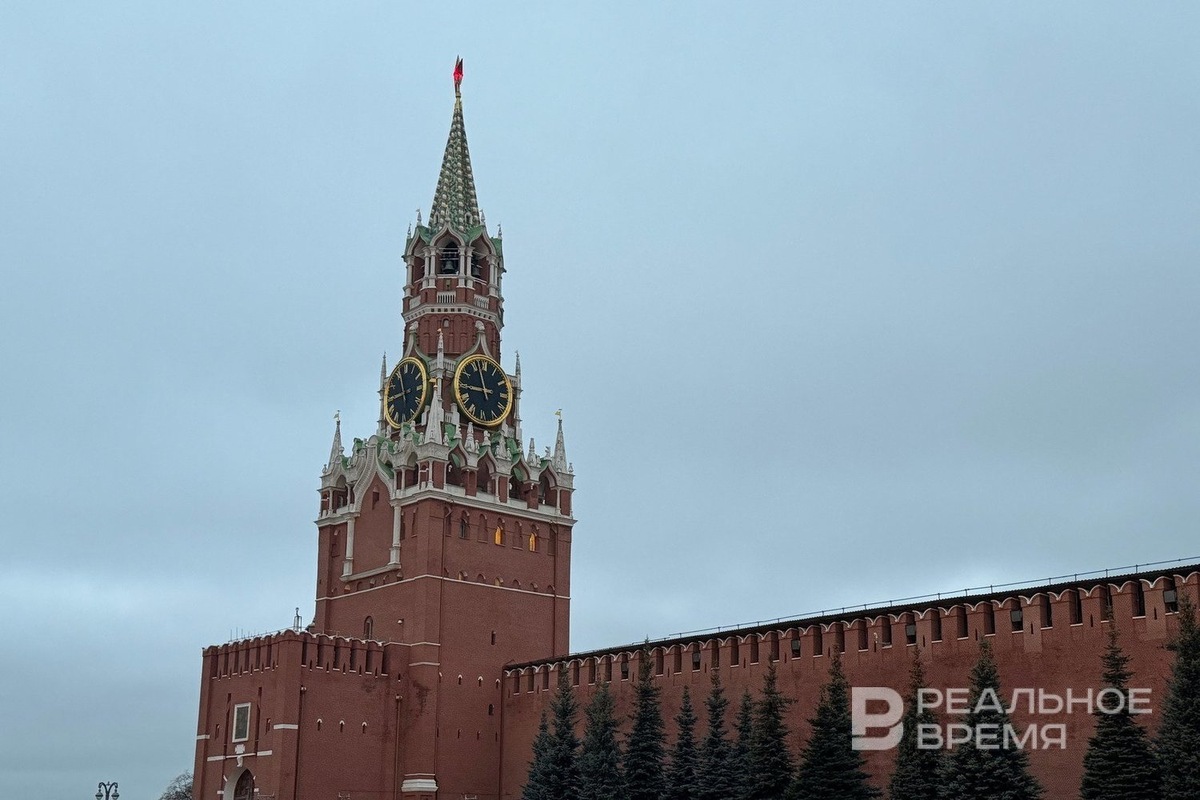   Дарья Пинегина / realnoevremya.ru