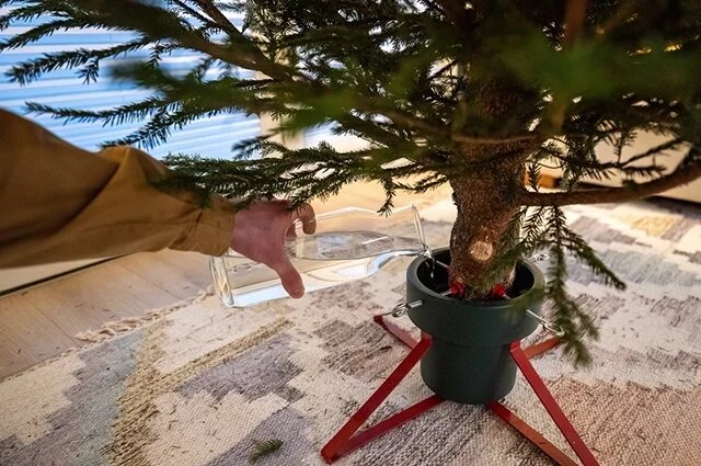    Что добавить в воду, чтобы елка стояла дольше?