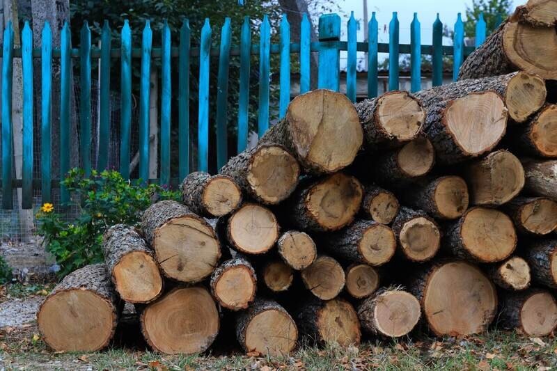 Фото: Наталья Сомова