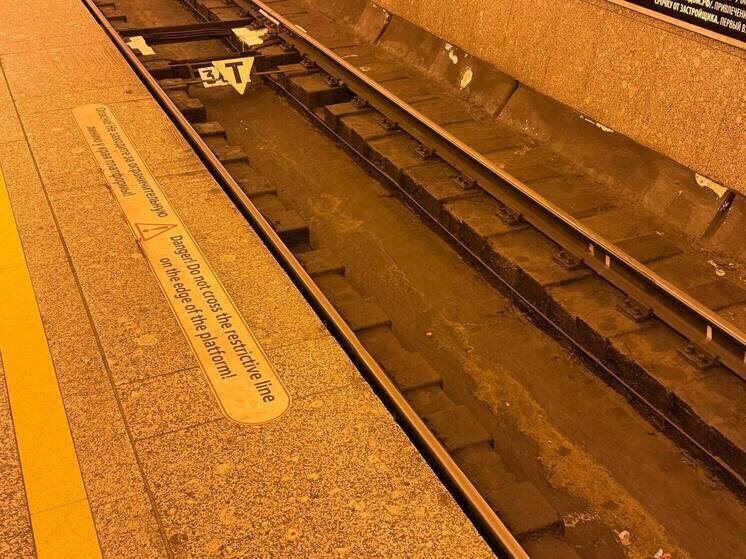     Движение поездов на участке линии 2 осуществляется от станции "Петроградская" до станции "Парнас". Фото: архив МК в Питере