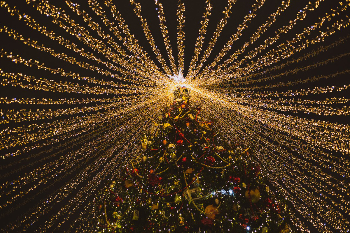 Nataly Swire / Shutterstock / FOTODOM📷Главную новогоднюю ель страны ежегодно выбирают по строгим стандартами