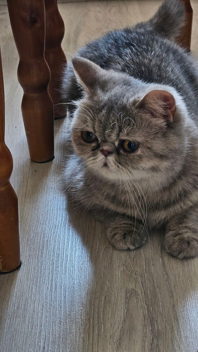 Герой романа