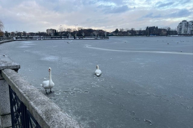   Фото из архива Калининград.Ru