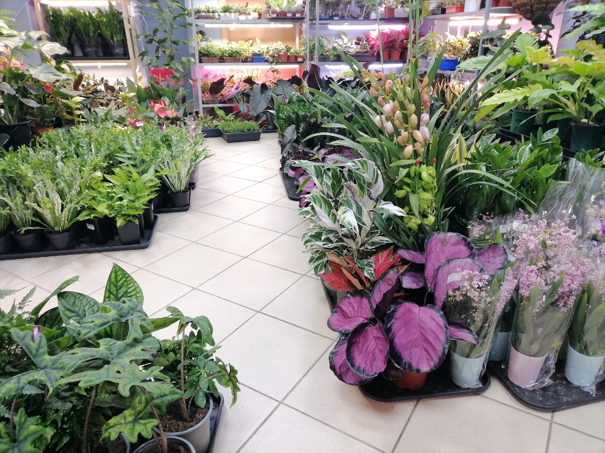 Студия "ЦВЕТЫ ДОМА НН" в Нижнем новгороде