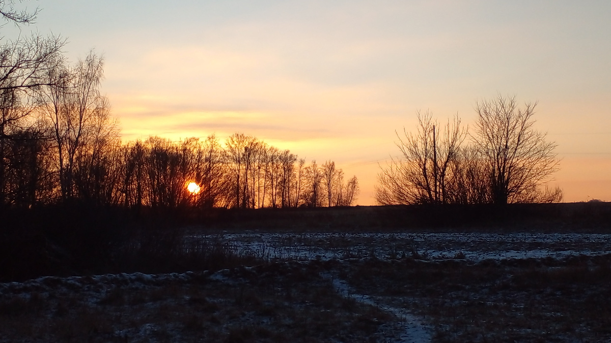 Морозное утро