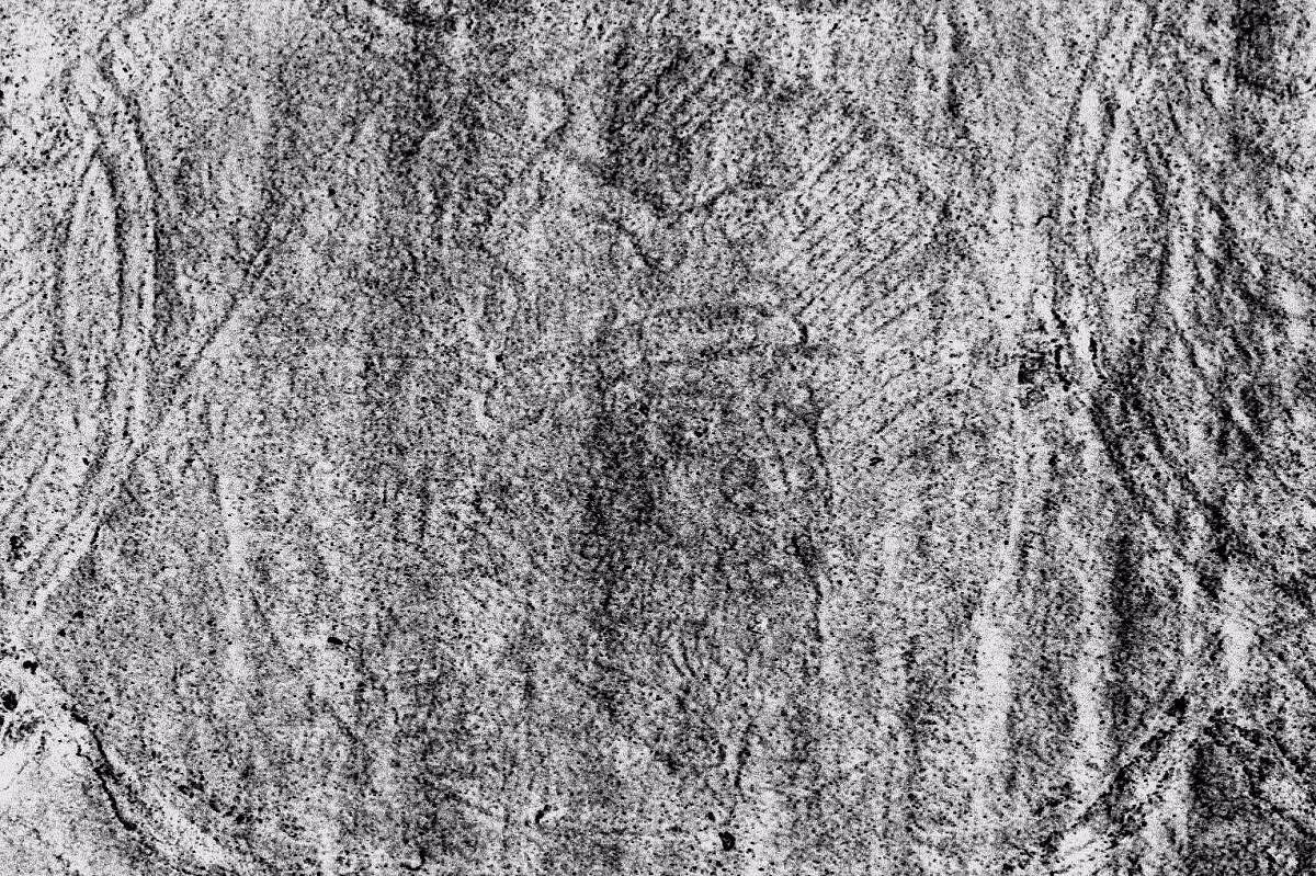 Единственный прижизненный портрет Ивана Грозного, вытисненный на переплёте царского экземпляра первопечатного «Апостола» 1564 года. 
Изображение было выполнено в технике гравюры на меди и оттиснуто на верхней крышке подносного экземпляра издания. Со временем рельеф практически исчез, его удалось восстановить лишь при помощи метода мультиспектральной съёмки. 
Хранится портрет в Государственном историческом музее. Считается, что автором портрета мог быть как сам Иван Фёдоров, так и сын знаменитого живописца Дионисия Феодосий — изограф, освоивший в середине XVI века технику гравюры на меди.