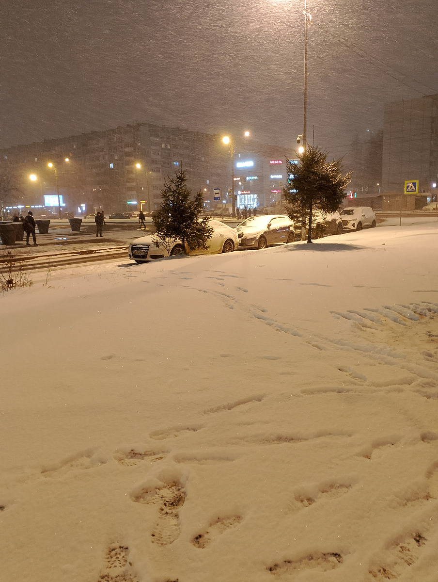 Фото автора.