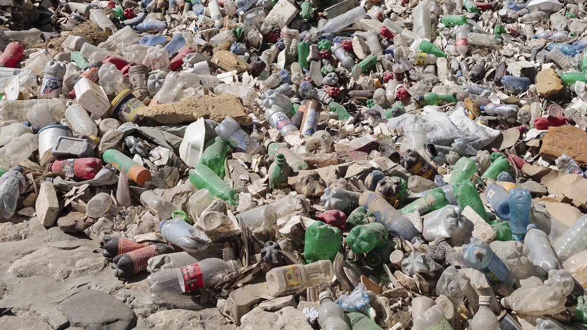    Фото: David Weyand/globallookpress.com