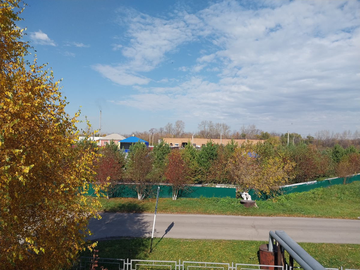 За забором - парк Ырыс