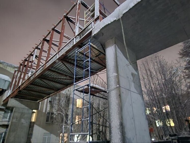     фото: пресс-служба правительства Мурманской области.