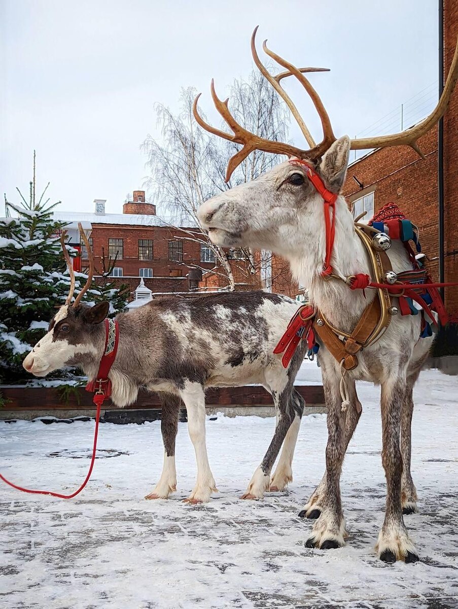 из интеренета