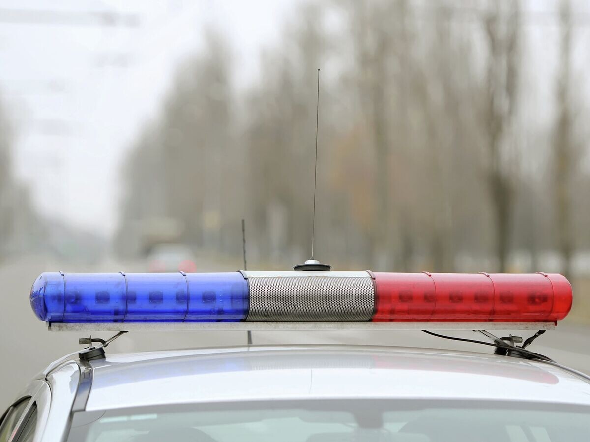    Автомобиль полиции | © Fotolia / Irina84