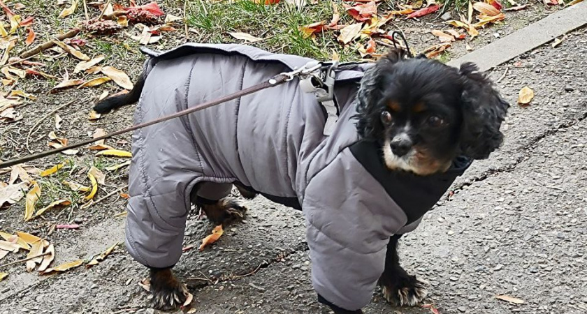    Фото usolie.info