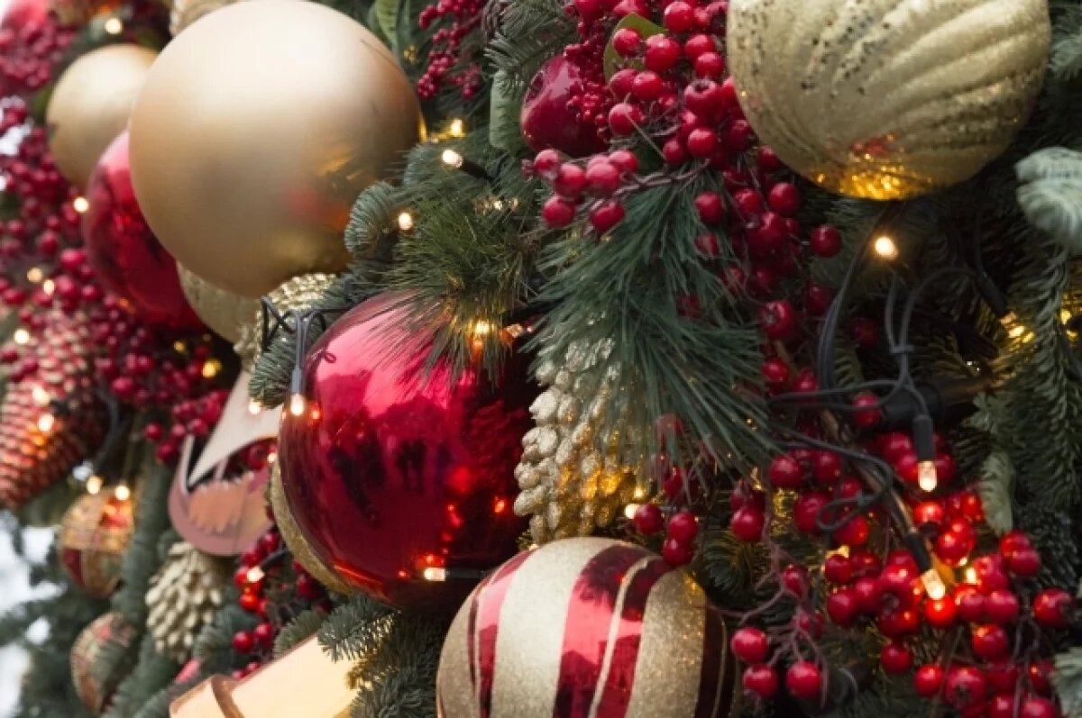    Житель Вильнюса каждый год покупает к Рождеству «самую некрасивую» елку