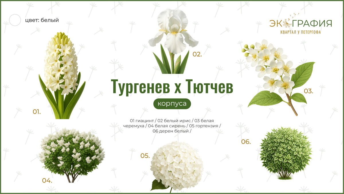 Концепция озеленения ландшафта в ЖК «Экография» // Источник: ЖК «Экография. Квартал у Петергофа», застройщик ГК «Охта Групп»