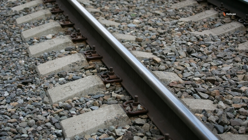      Фото: Валерия Алтухова / / ИА «Победа26»