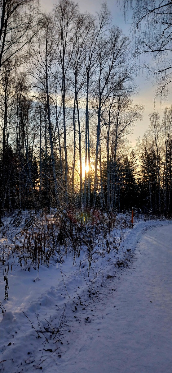 "Доброе утро, мир! Ты прекрасен!" Фото автора