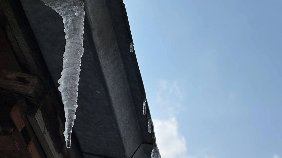    Фото: телеканал «Краснодар»