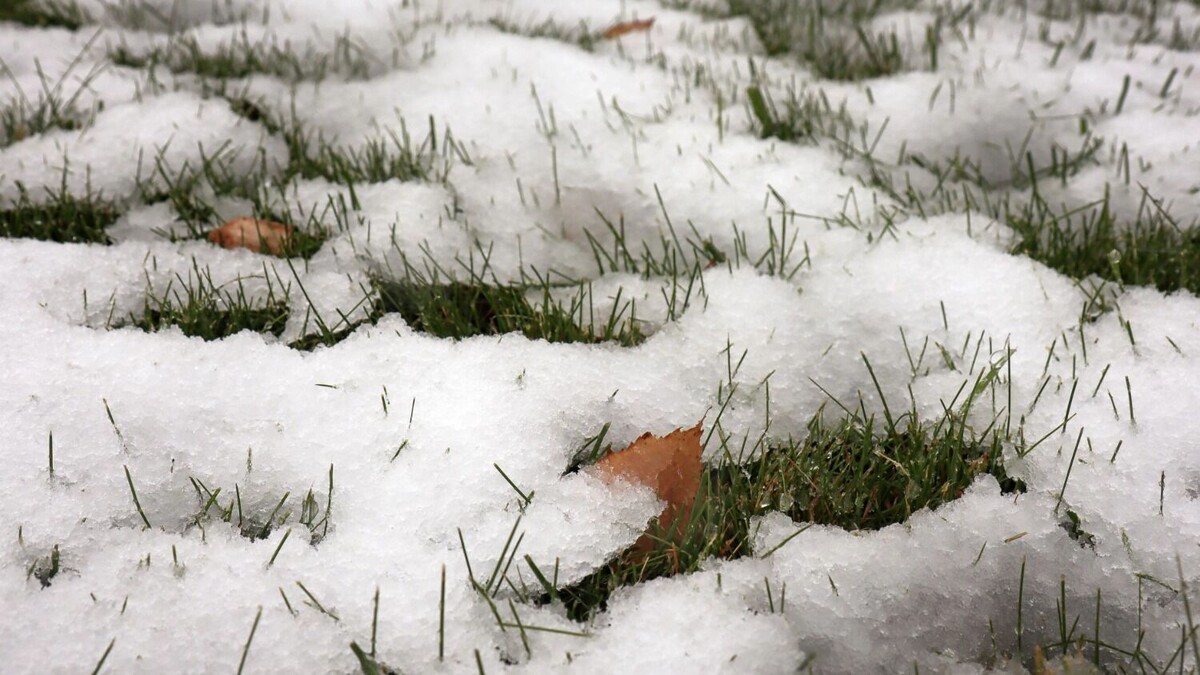    Третья декада января начнется для ростовчан со снега   1MI