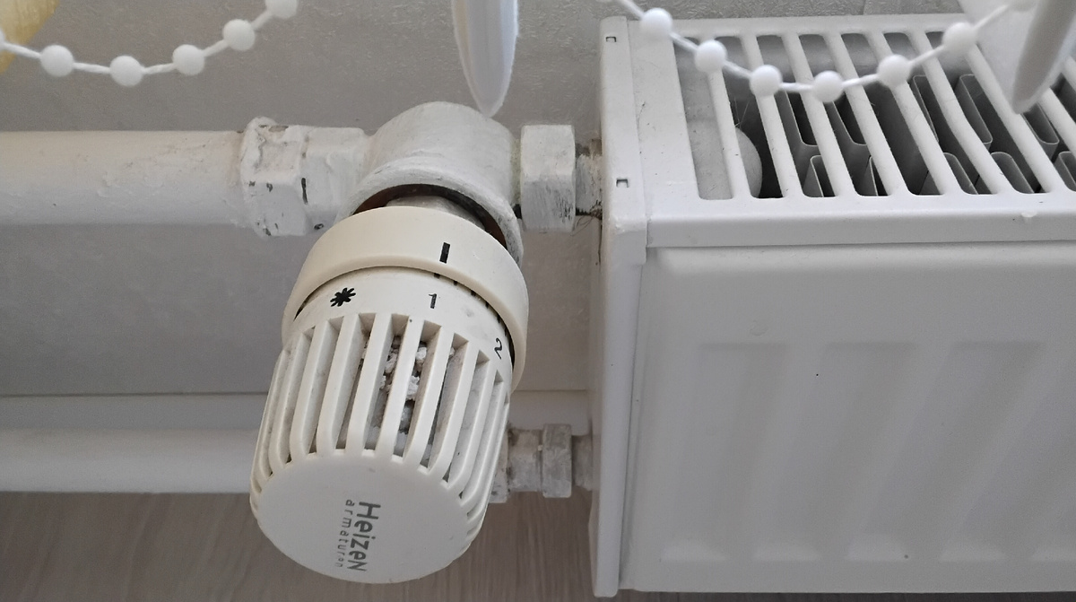 Фото: личный фотоархив. Термолрегулятор.