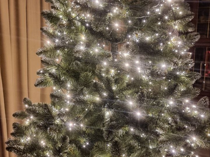 Новый год начинается с ёлки!