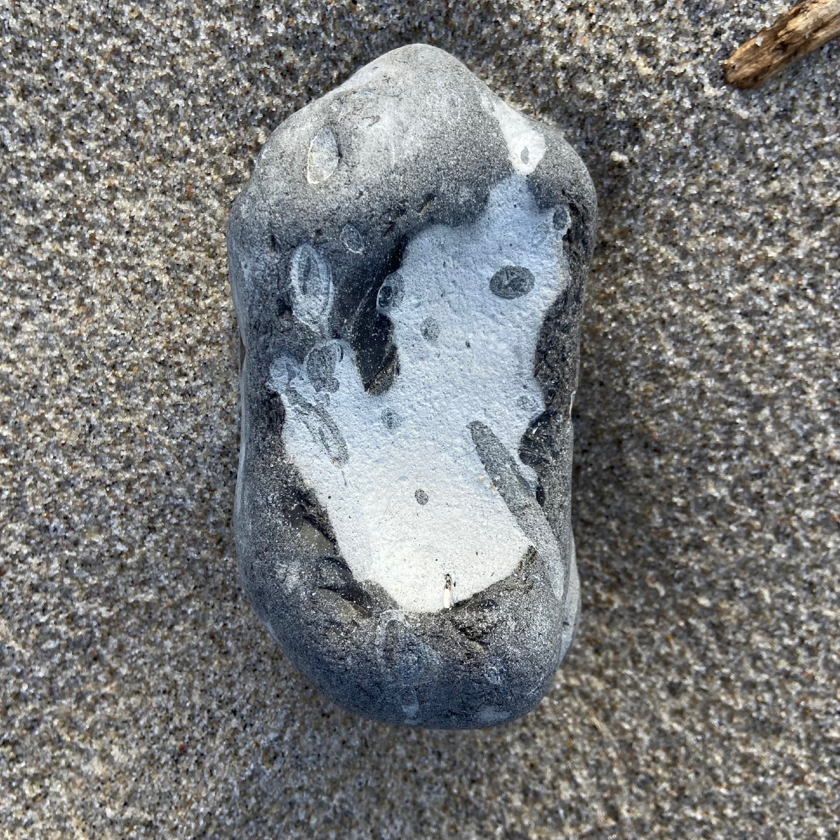 Морской камень. Фото автора 