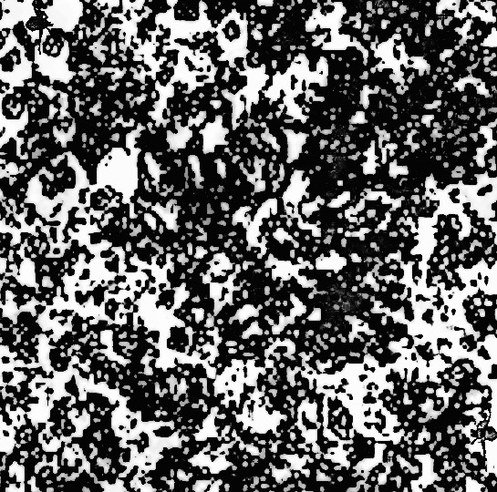 Полезный досуг: тренируем мозг вместе