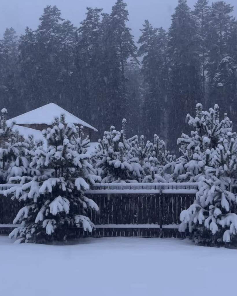    Фото: "Веселовские вести" Веселовские вести