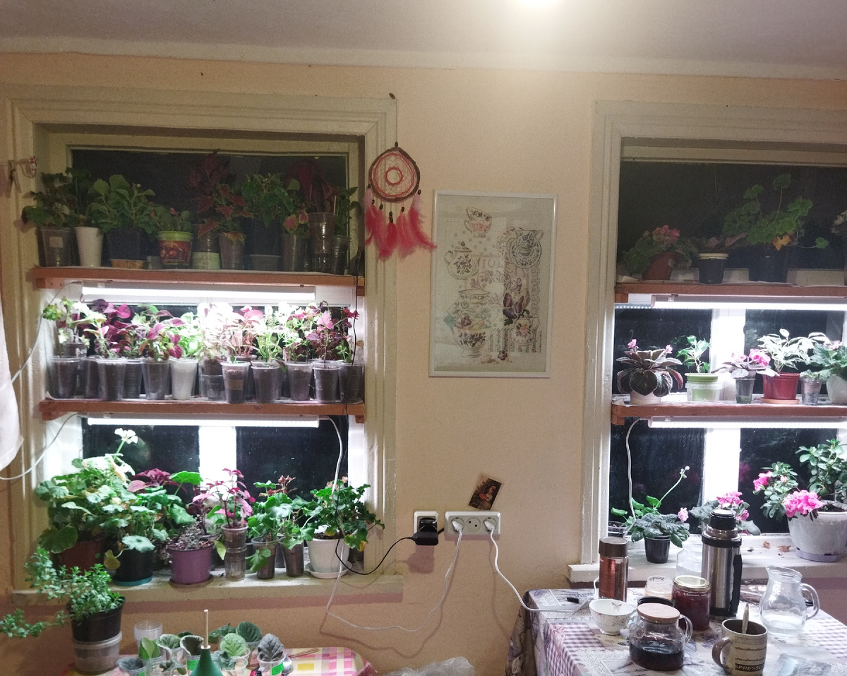 Окна на кухне.