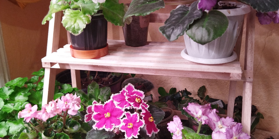 Подготовка к новому году идет полным ходом.