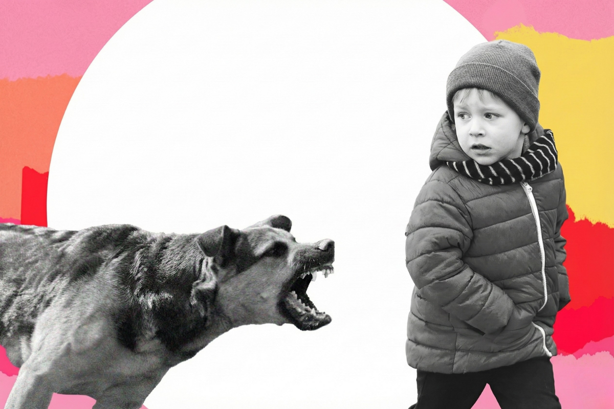 Собака лает на ребёнка