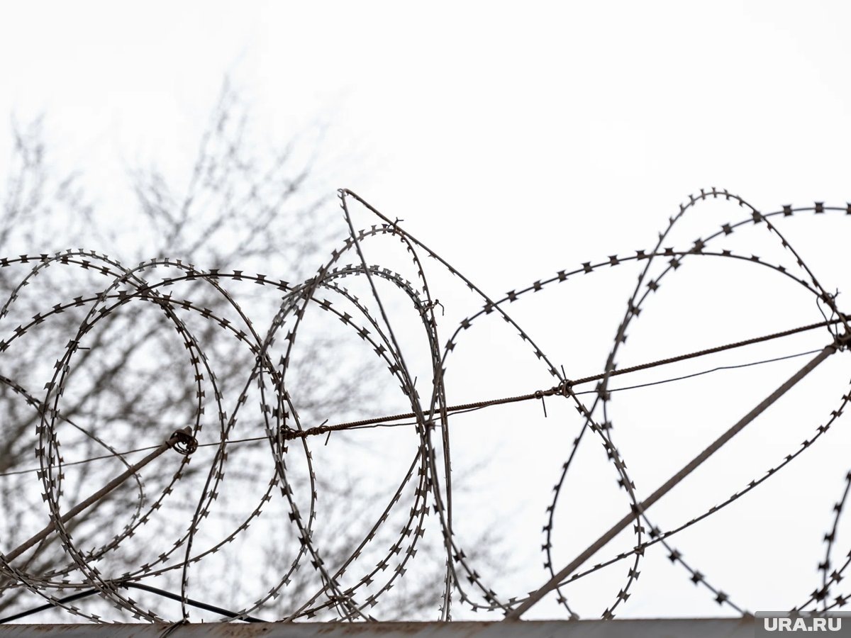     Зек планировал сбежать из курганской колонии