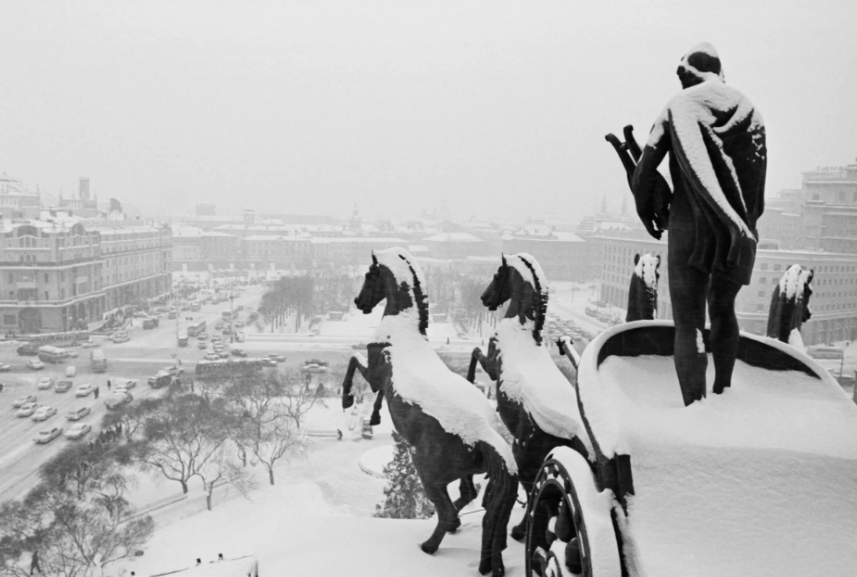 фото из интернета.