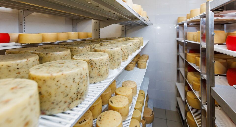    Натуральные сыры с фермы С. Н. Ляшенко в Пушкинском округе / Медиасток.рф