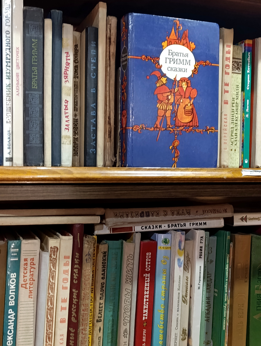 Одна из книжных полок. Судя по всему, для детей.