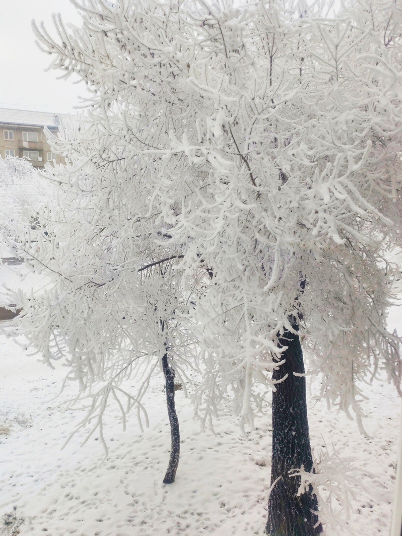 Взял  с картинки 