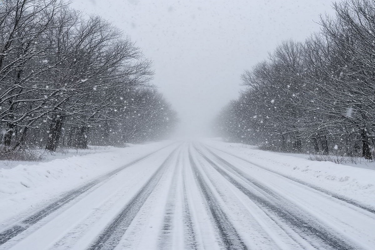    Фото: коллаж RuNews24.ru