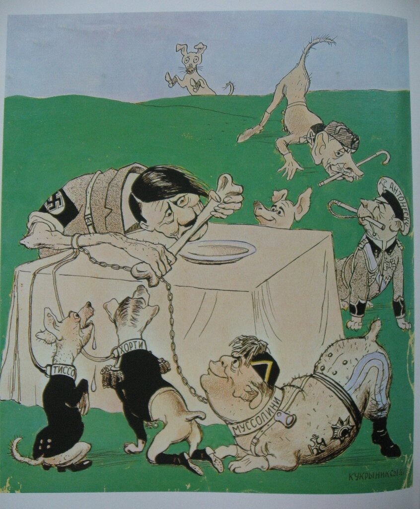 (Фото взято из открытых источников).