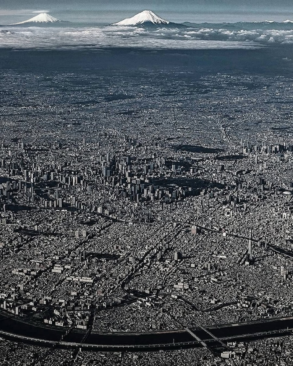 Изображение с сайта https://vk.ru/wall-119220096_1079019