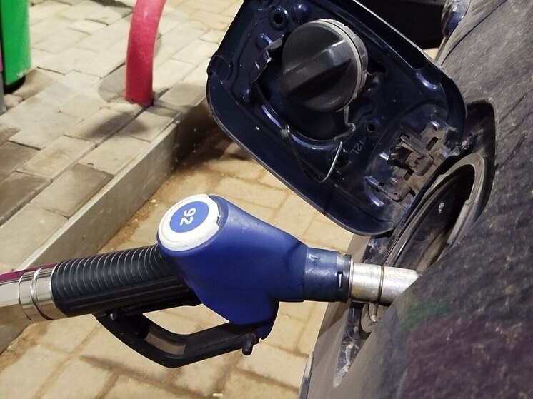     Фото: архив МК в Питере.