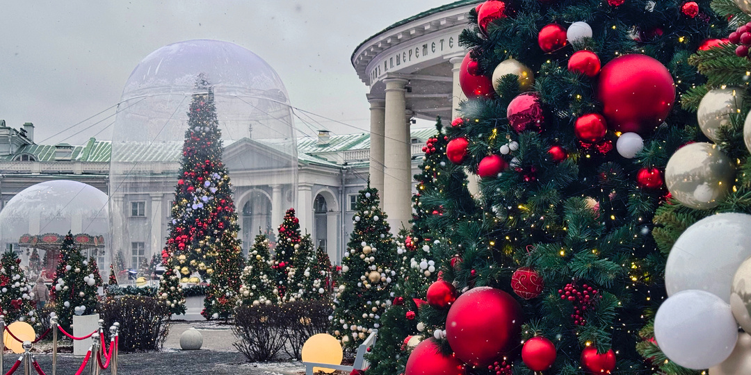 Так вот куда ушли наши налоги. Я вышла гулять по новогодней Москве